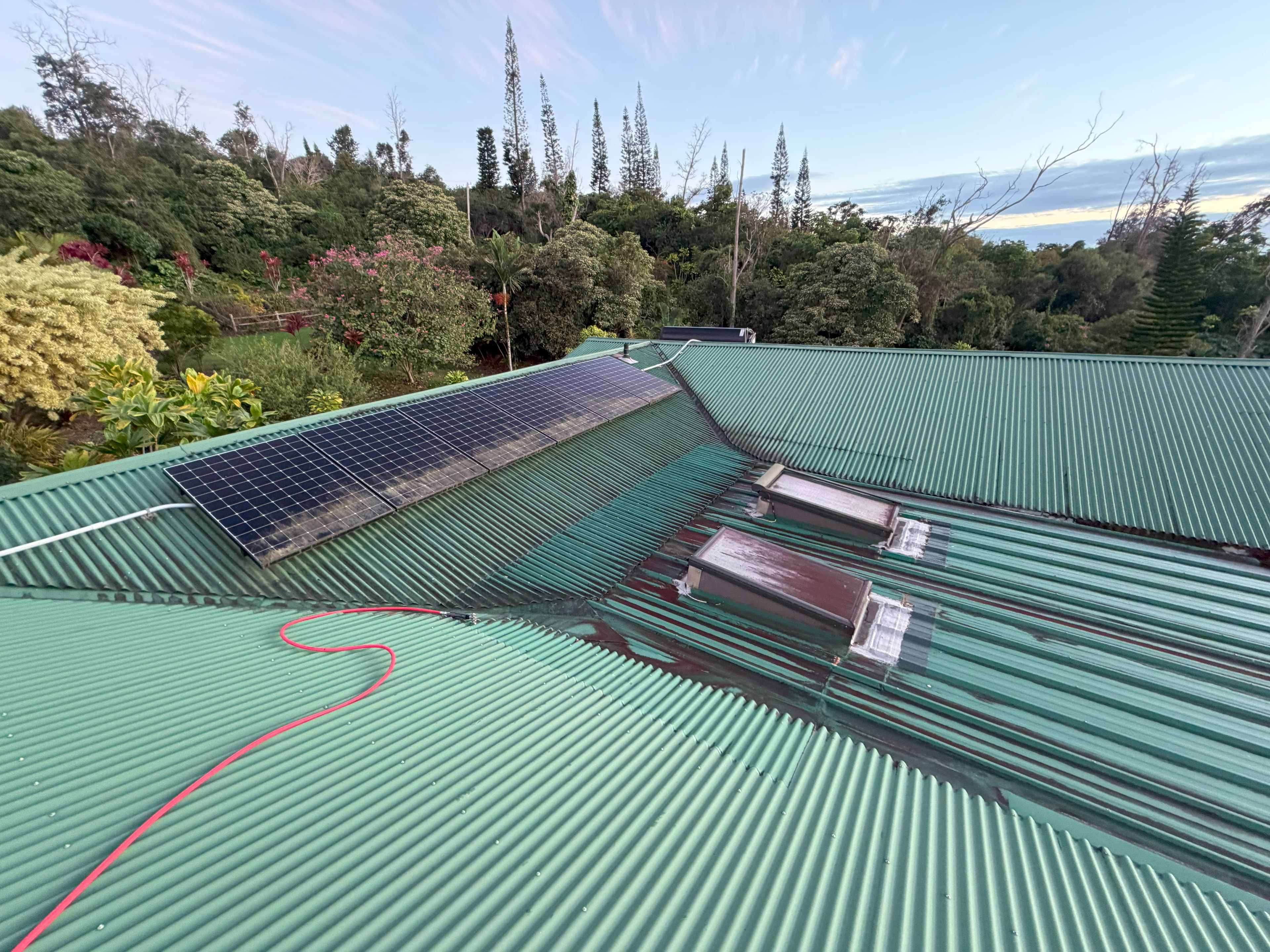 Roof with moss and black streaks before roof cleaning in Kapolei Hawaii