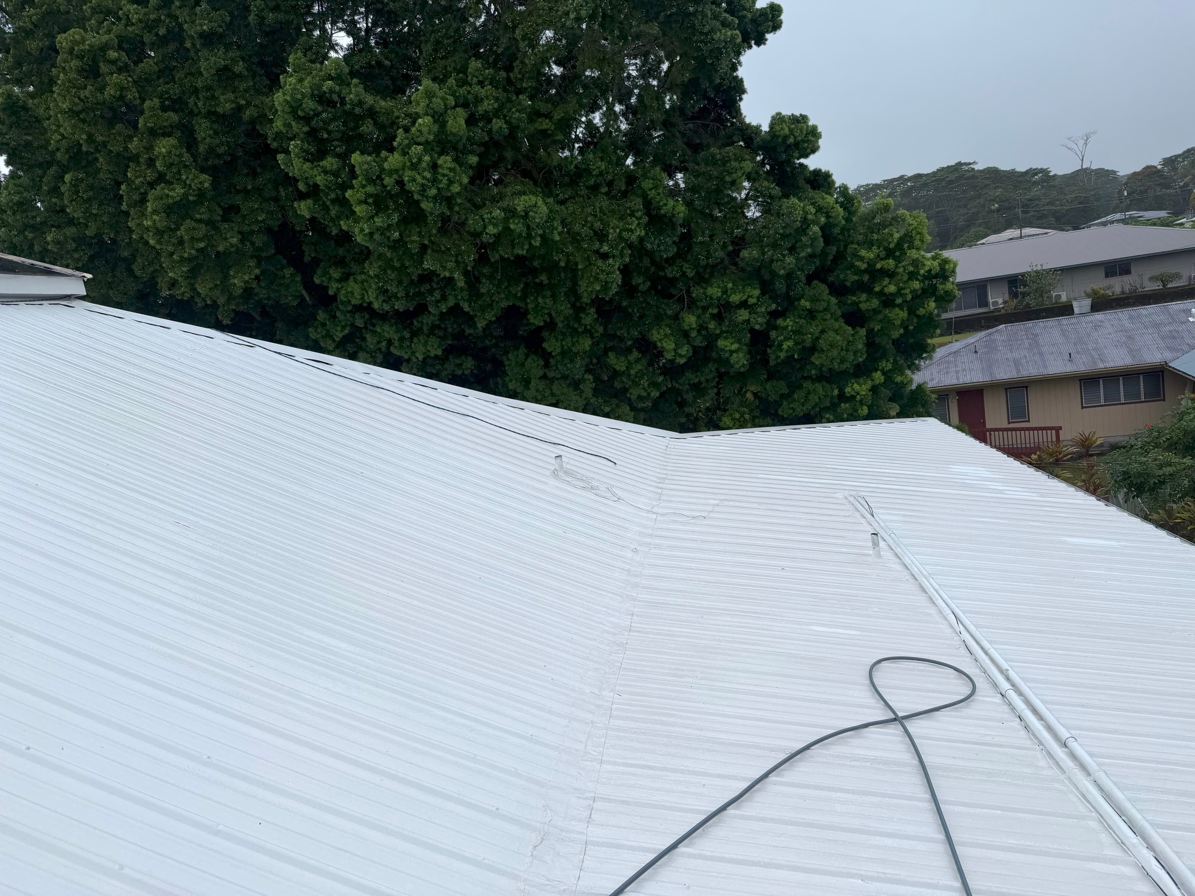 Roof after soft washing