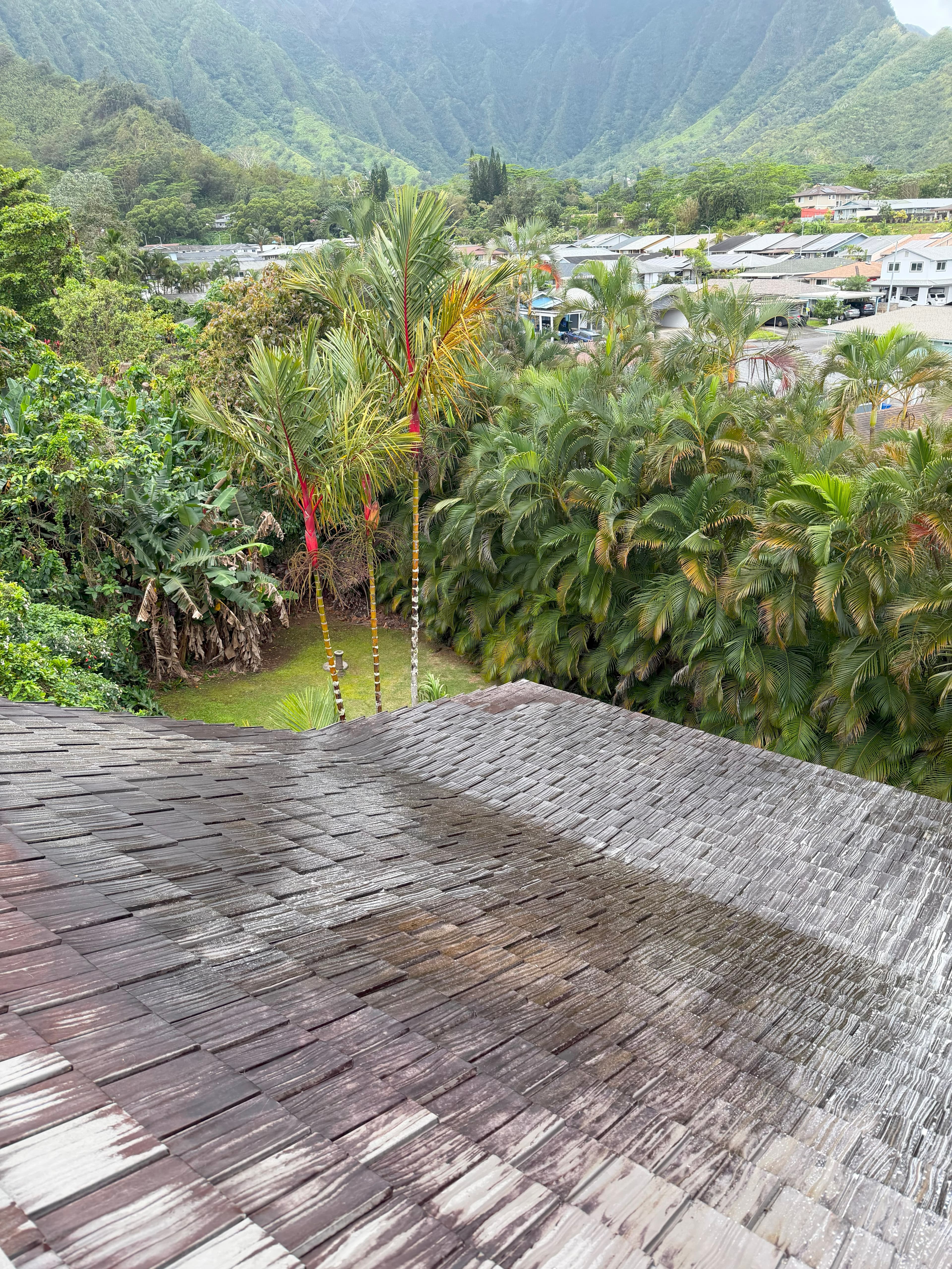 Roof before cleaning